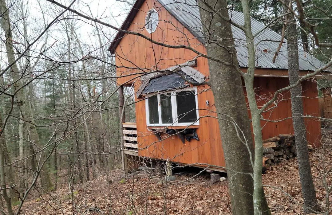Vana Kuti-Cabin In The Woods-1