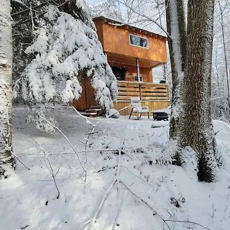 Vana Kuti-Cabin In The Woods-3
