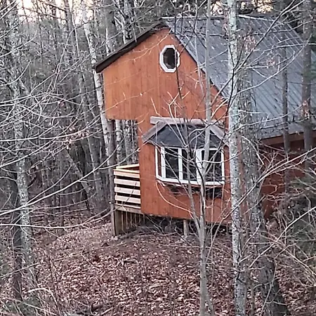 Vana Kuti-Cabin In The Woods-2
